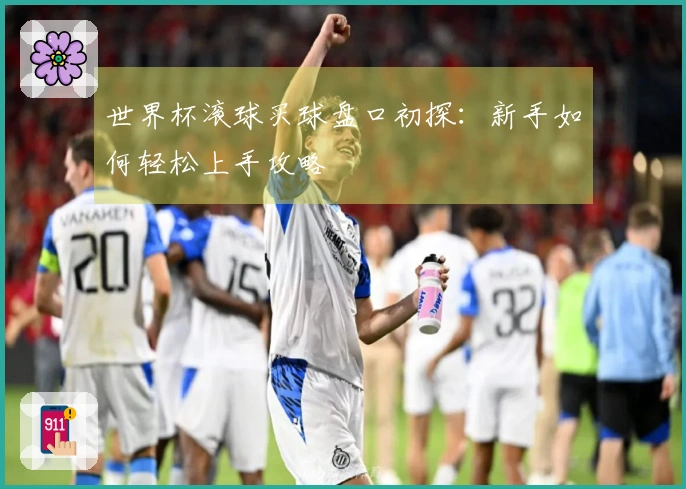 世界杯滚球买球盘口初探：新手如何轻松上手攻略