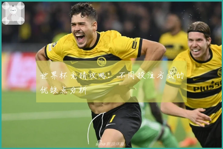 世界杯竞猜攻略：不同投注方式的优缺点分析