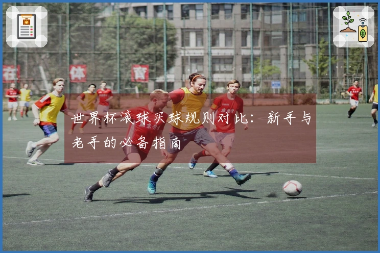 世界杯滚球买球规则对比：新手与老手的必备指南