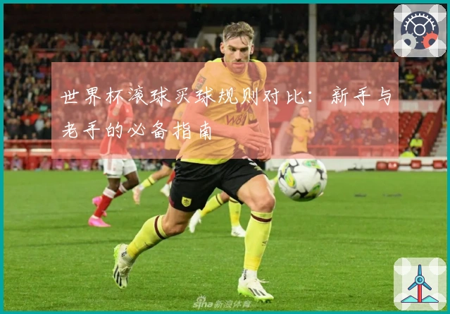 世界杯滚球买球规则对比：新手与老手的必备指南