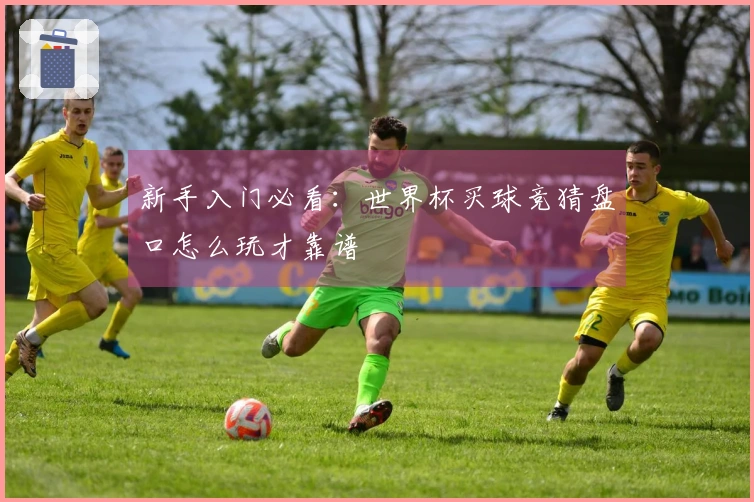 新手入门必看：世界杯买球竞猜盘口怎么玩才靠谱